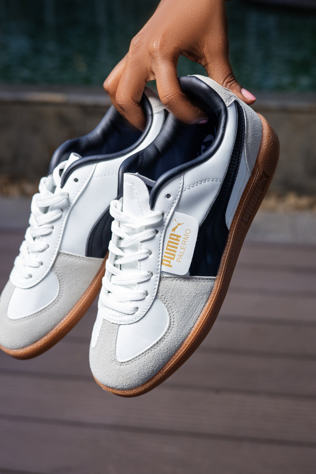 Puma